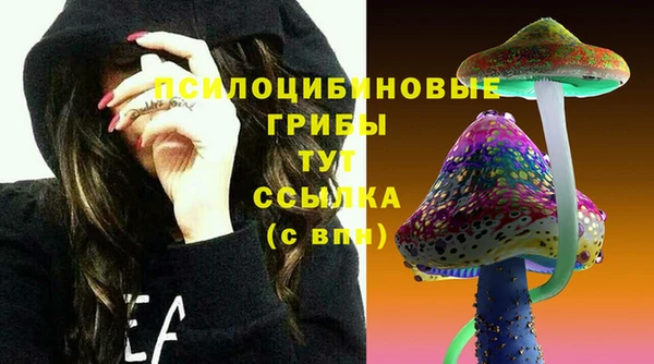 дживик Карталы
