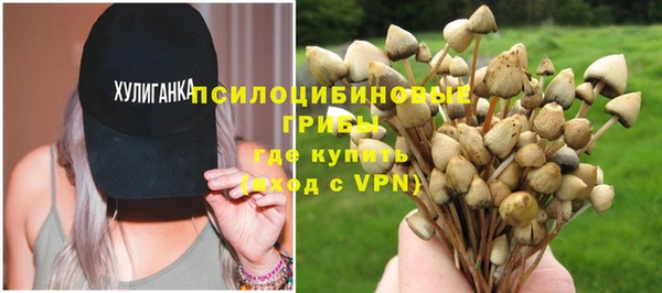 MESCALINE Карпинск