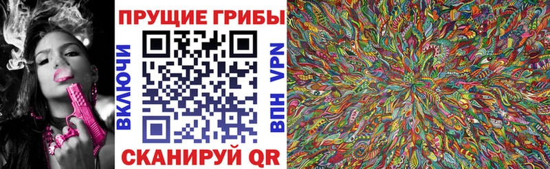 Купить где  Карабаново  Галлюциногенные грибы MAGIC MUSHROOMS 